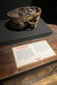 Photo 6 from Serial Killer: La Exposición
