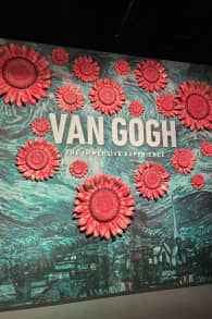 Photo 0 from Van Gogh : L'Expérience Immersive