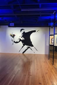 Photo 13 from The Art of Banksy: "Without Limits" Exhibition