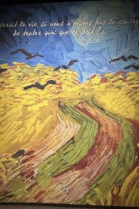 Photo 6 from Van Gogh : L'Expérience Immersive