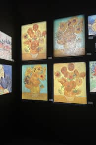 Photo 5 from Van Gogh : L'Expérience Immersive