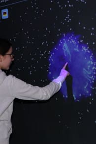 Photo 2 from Planet der Tiere - Die immersive Ausstellung