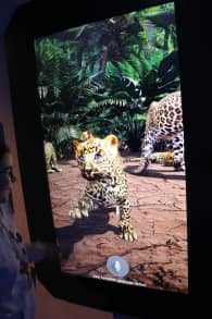 Photo 1 from Planet der Tiere - Die immersive Ausstellung