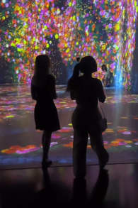 Photo 2 from Superblue Miami: Experiencias de Arte Inmersivo