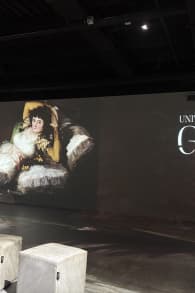 Photo 0 from UNIVERSE GOYA. BETWEEN LIGHT AND DARKNESS
