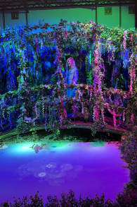 Photo 1 from Monet: The Immersive Experience Anvers