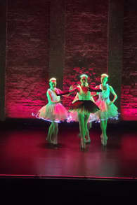 Photo 5 from We call it Ballet: Dornröschen, eine Tanz- & Lichtshow