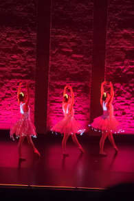 Photo 4 from We call it Ballet: Dornröschen, eine Tanz- & Lichtshow