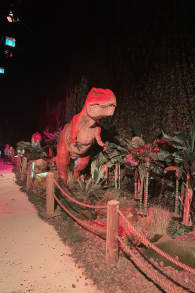 Photo 8 from Dinos Alive: An Immersive Experience