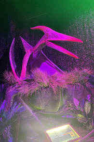 Photo 6 from Dinos Alive: An Immersive Experience
