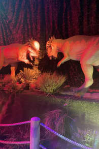 Photo 5 from Dinos Alive: An Immersive Experience