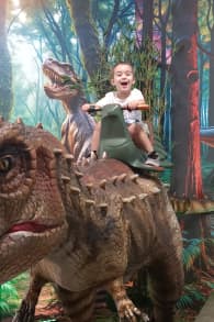 Photo 3 from Dinosaurios & Dragones