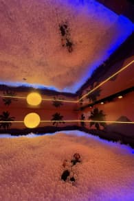 Photo 0 from Dopamine Land: A Multisensory Experience