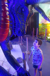 Photo 1 from Dinosaurios & Dragones
