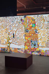 Photo 1 from Klimt: El sueño dorado en Bilbao