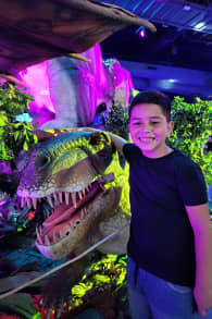 Photo 4 from Dinosaurios & Dragones