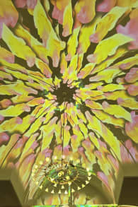Photo 4 from Enlightenment: An Immersive Light Show