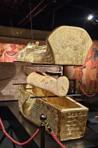 Photo 8 from Tutankhamun: The Immersive Exhibition