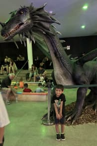 Photo 7 from Dinosaurios & Dragones