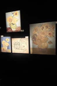 Photo 6 from Van Gogh : L’expérience Immersive