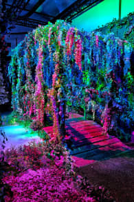 Photo 8 from Monet: The Immersive Experience Anvers
