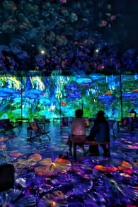 Photo 2 from Monet: The Immersive Experience Anvers