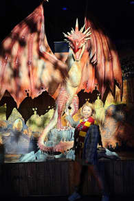 Photo 18 from Harry Potter™: The Exhibition