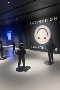Photo 5 from Moco Museum London