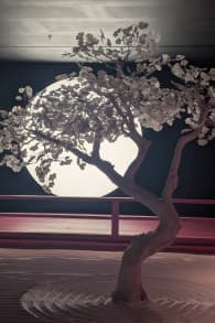 Photo 2 from Moco Museum London