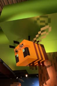 Photo 9 from Minecraft Experience: Villager Rescue