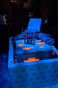 Photo 6 from Minecraft Experience: Villager Rescue