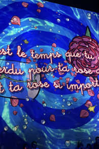 Photo 6 from Le Petit Prince, L’Odyssée immersive à l’Atelier des Lumières