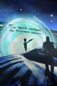 Photo 2 from Le Petit Prince, L’Odyssée immersive à l’Atelier des Lumières