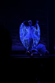 Photo 1 from We call it Ballet: Dornröschen, eine Tanz- & Lichtshow