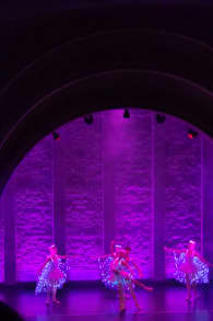 Photo 6 from We call it Ballet: Dornröschen, eine Tanz- & Lichtshow