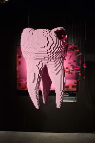 Photo 7 from The Art of the Brick: LEGO® Art Exhibition