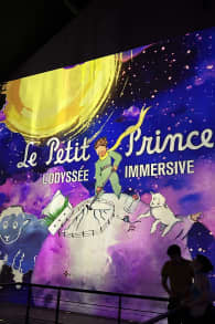 Photo 16 from El Principito, La Odisea Inmersiva en el Atelier des Lumières