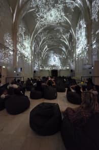 Photo 3 from Enlightenment : Un spectacle lumineux immersif sur les airs de Vivaldi à Montpellier