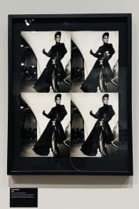 Photo 16 from Andy Warhol: Pop Art!