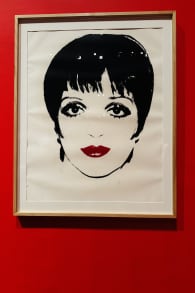 Photo 1 from Andy Warhol: Pop Art!