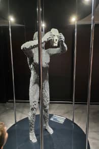 Photo 10 from The Art of the Brick: LEGO® Art Exhibition