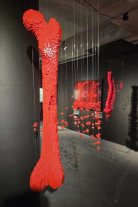 Photo 4 from The Art of the Brick: LEGO® Art Exhibition