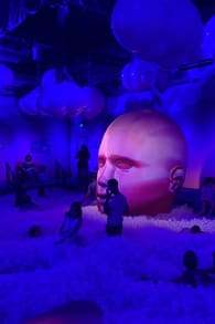 Photo 7 from Bubble Planet : une expérience immersive à La Villette