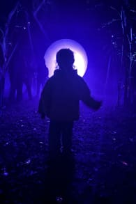 Photo 2 from Light Cycles: ¡Un paseo nocturno mágico entre las luces y los sonidos de la naturaleza!