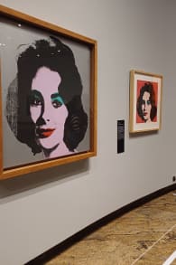 Photo 17 from Andy Warhol: Pop Art!
