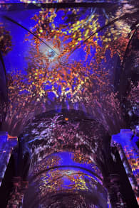 Photo 9 from Enlightenment : Un spectacle lumineux immersif sur les airs de Vivaldi à Montpellier