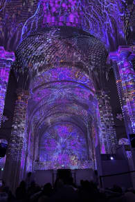 Photo 6 from Enlightenment : Un spectacle lumineux immersif sur les airs de Vivaldi à Montpellier