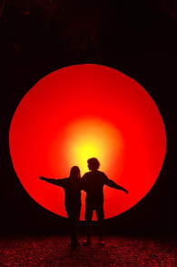 Photo 4 from Light Cycles: ¡Un paseo nocturno mágico entre las luces y los sonidos de la naturaleza!