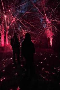 Photo 2 from Light Cycles: ¡Un paseo nocturno mágico entre las luces y los sonidos de la naturaleza!