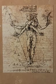 Photo 4 from Visualfarm Gymnasium: Leonardo da Vinci